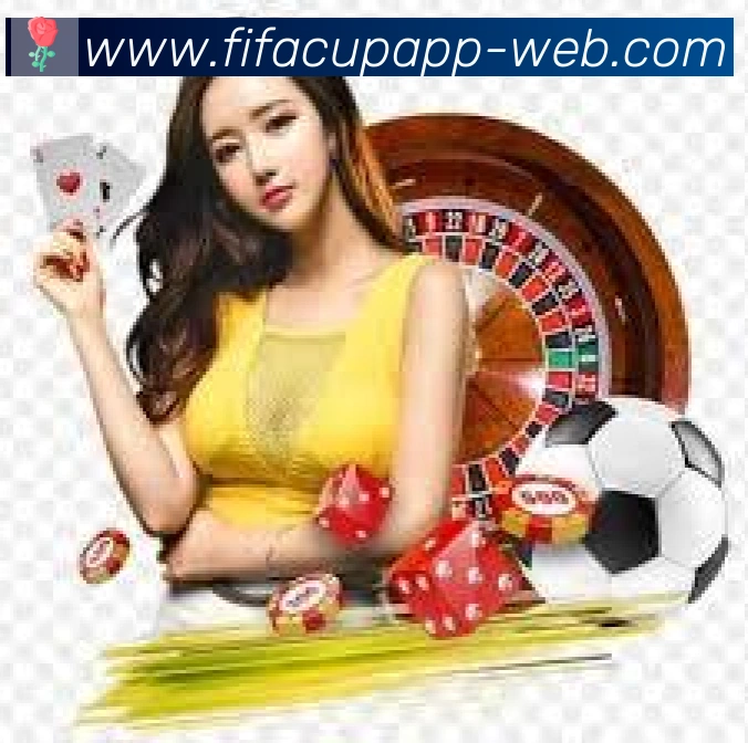 美加墨世界杯客户端下载平台生态图